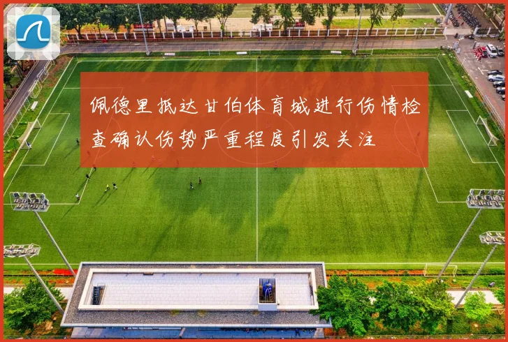 佩德里抵达甘伯体育城进行伤情检查确认伤势严重程度引发关注