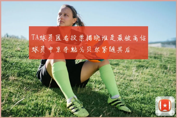 TA球员匿名投票揭晓谁是最被高估球员申京夺魁戈贝尔紧随其后